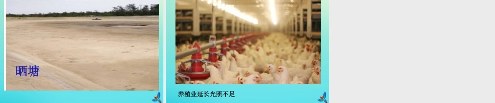 一年级科学下册 2 太阳和月亮 7 太阳与生活课件 冀人版-人教版小学一年级下册自然科学课件