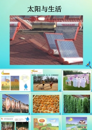 一年级科学下册 2 太阳和月亮 7 太阳与生活课件 冀人版-人教版小学一年级下册自然科学课件