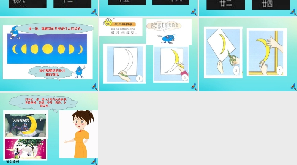 一年级科学下册 2 太阳和月亮 8 月亮圆了课件 冀人版-人教版小学一年级下册自然科学课件