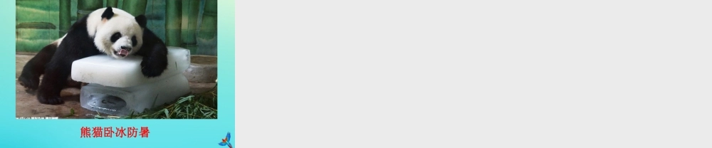一年级科学下册 3 天气与生活 10 天气与动植物课件 冀人版-人教版小学一年级下册自然科学课件