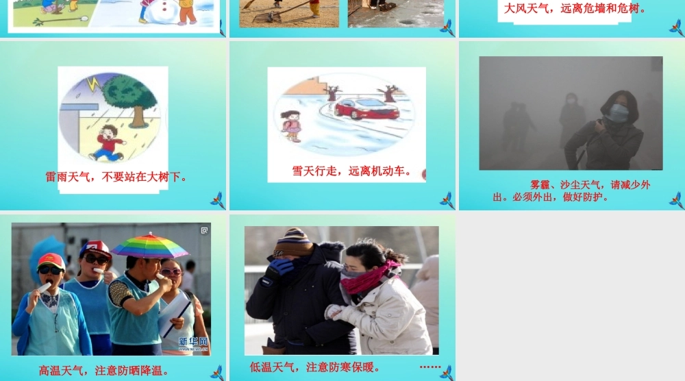 一年级科学下册 3 天气与生活 11 天气与生活课件 冀人版-人教版小学一年级下册自然科学课件