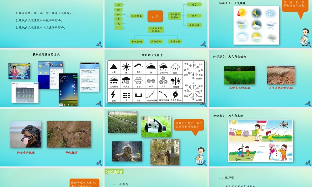 一年级科学下册 3 天气与生活复习课件 冀人版-人教版小学一年级下册自然科学课件