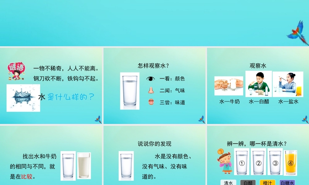 一年级科学下册 第1单元 水 1.1 认识水课件 （新版）湘科版-人教版小学一年级下册自然科学课件