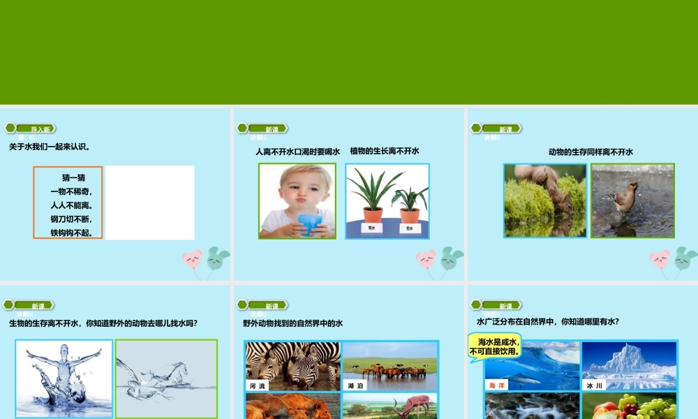 一年级科学下册 第1单元 水和空气 1 清清的水（1）课件 （新版）粤教版-（新版）粤教版小学一年级下册自然科学课件