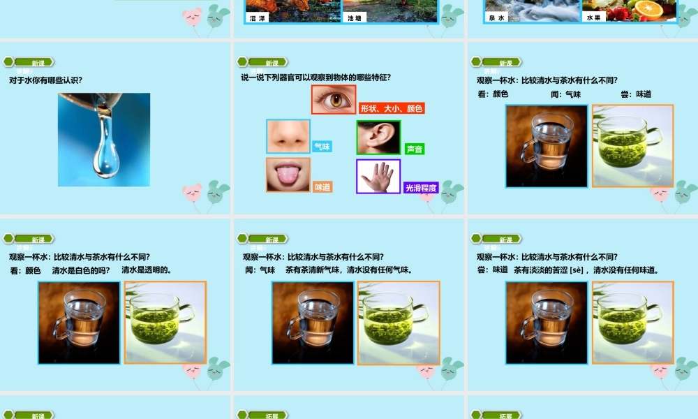 一年级科学下册 第1单元 水和空气 1 清清的水（1）课件 （新版）粤教版-（新版）粤教版小学一年级下册自然科学课件