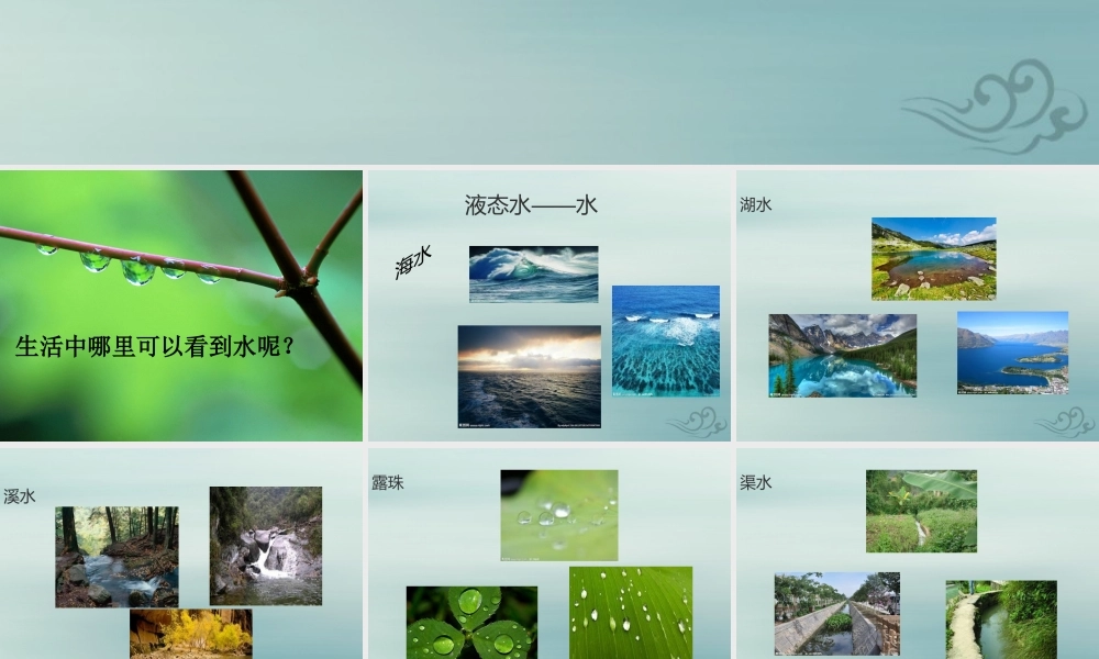 一年级科学下册 第1单元 水和空气 1 清清的水课件1 （新版）粤教版-（新版）粤教版小学一年级下册自然科学课件