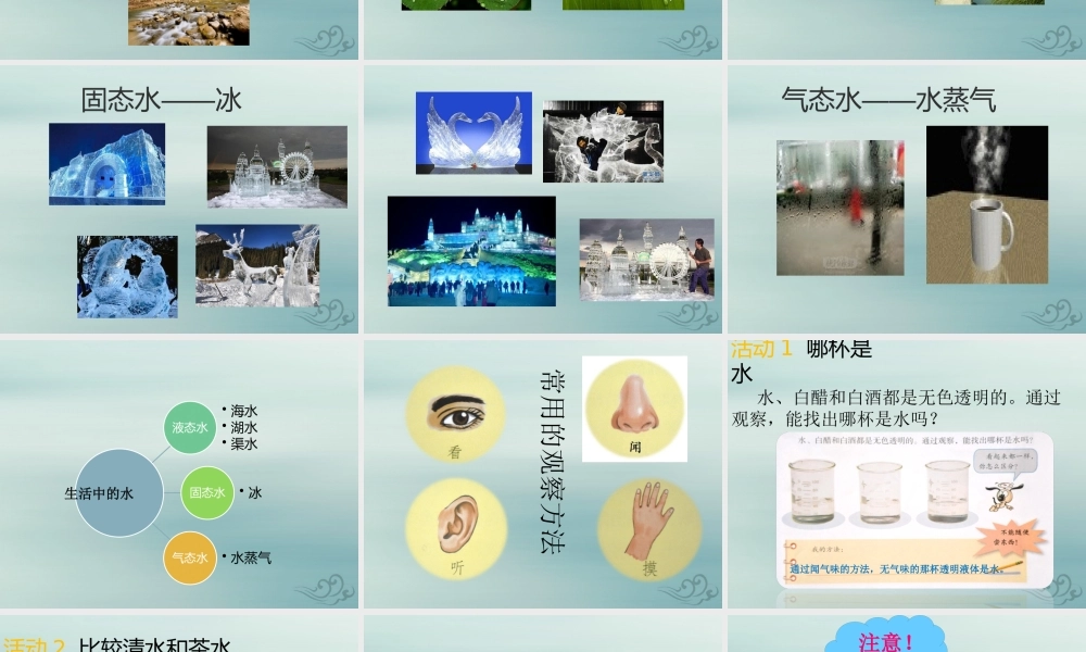 一年级科学下册 第1单元 水和空气 1 清清的水课件1 （新版）粤教版-（新版）粤教版小学一年级下册自然科学课件