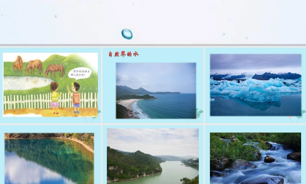 一年级科学下册 第1单元 水和空气 1 清清的水课件6 （新版）粤教版-（新版）粤教版小学一年级下册自然科学课件