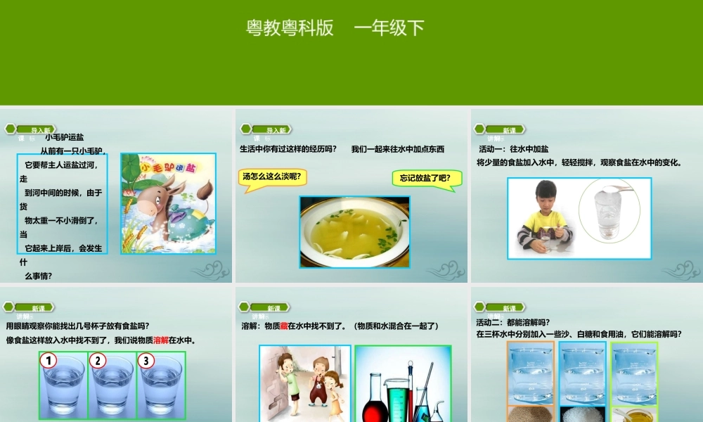 一年级科学下册 第1单元 水和空气 2 往水中加点东西课件2 （新版）粤教版-（新版）粤教版小学一年级下册自然科学课件