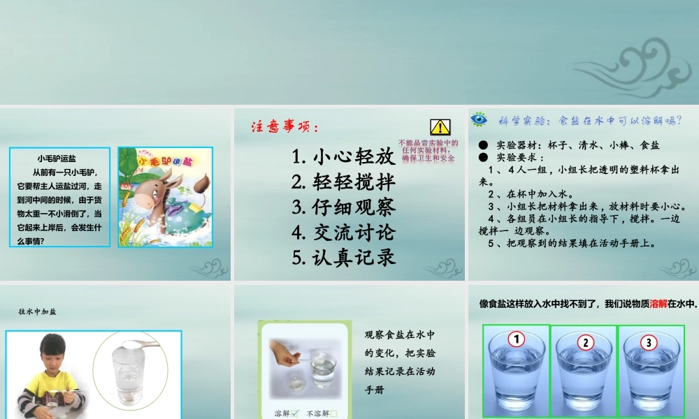 一年级科学下册 第1单元 水和空气 2 往水中加点东西课件3 （新版）粤教版-（新版）粤教版小学一年级下册自然科学课件