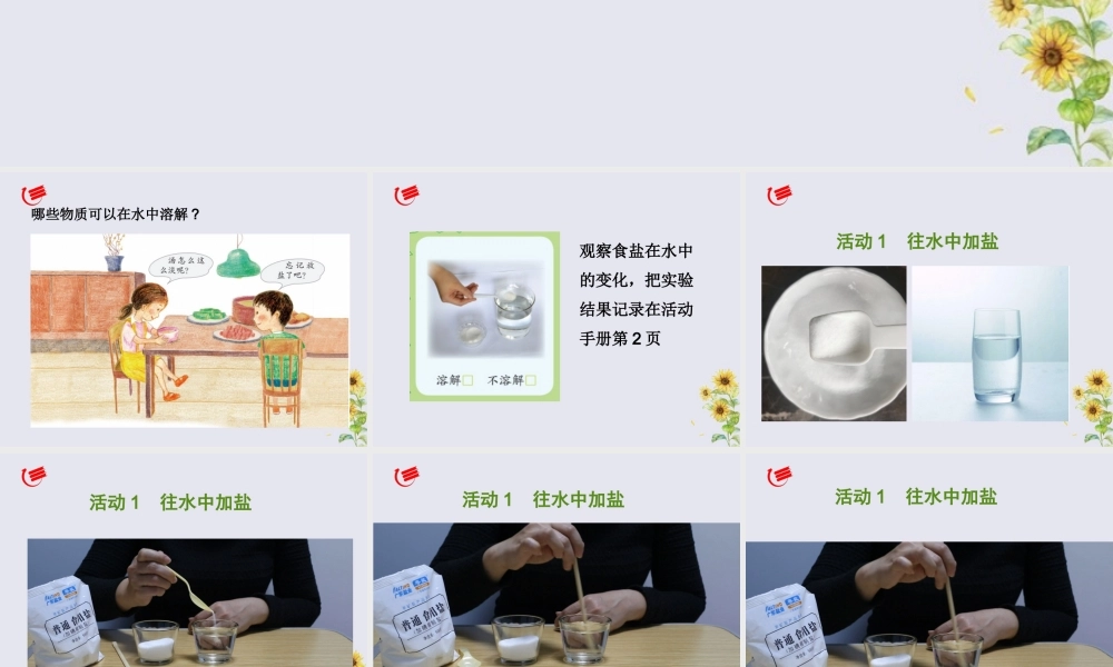 一年级科学下册 第1单元 水和空气 2 往水中加点东西课件4 （新版）粤教版-（新版）粤教版小学一年级下册自然科学课件