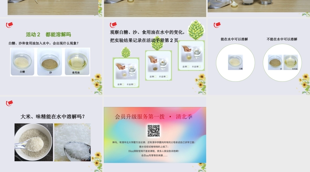 一年级科学下册 第1单元 水和空气 2 往水中加点东西课件4 （新版）粤教版-（新版）粤教版小学一年级下册自然科学课件