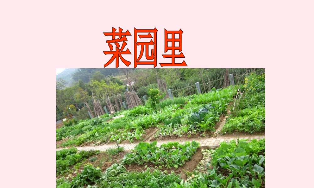 一年级语文上册 识字（二）第四单元 3《菜园里》教学课件欣赏 鲁教版-鲁教版小学一年级上册语文课件
