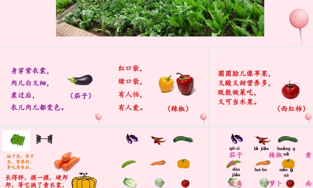 一年级语文上册 识字（二）第四单元 3《菜园里》教学课件欣赏 鲁教版-鲁教版小学一年级上册语文课件