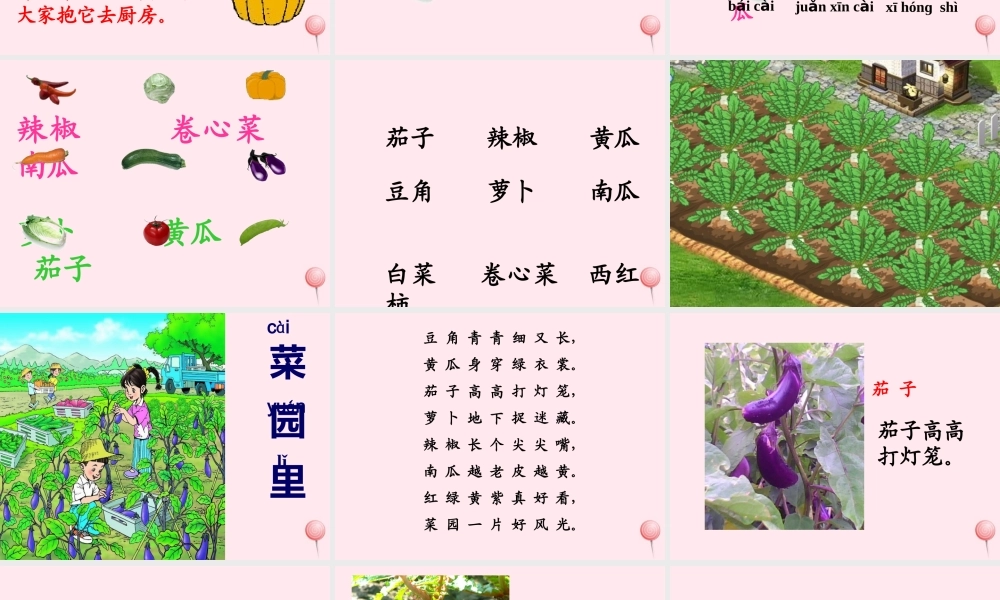 一年级语文上册 识字（二）第四单元 3《菜园里》教学课件欣赏 鲁教版-鲁教版小学一年级上册语文课件