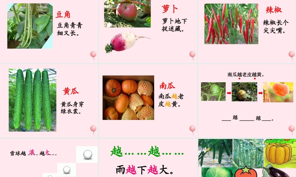 一年级语文上册 识字（二）第四单元 3《菜园里》教学课件欣赏 鲁教版-鲁教版小学一年级上册语文课件