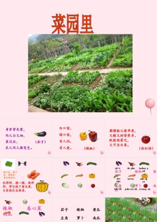 一年级语文上册 识字（二）第四单元 3《菜园里》教学课件欣赏 鲁教版-鲁教版小学一年级上册语文课件