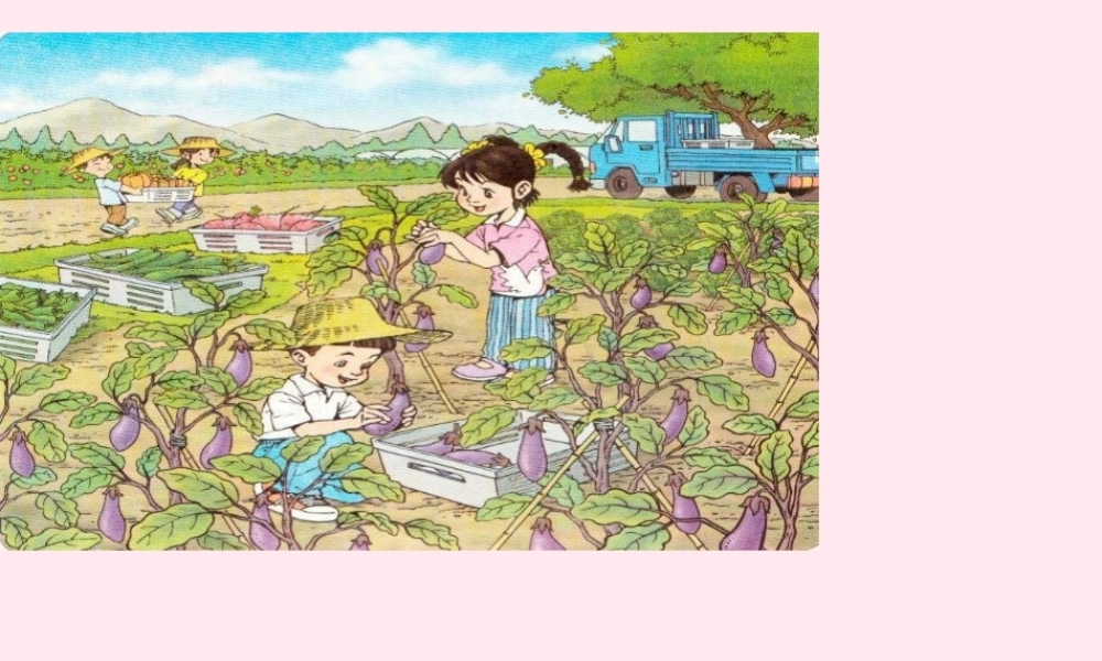 一年级语文上册 识字（二）第四单元 3《菜园里》课件 鲁教版-鲁教版小学一年级上册语文课件