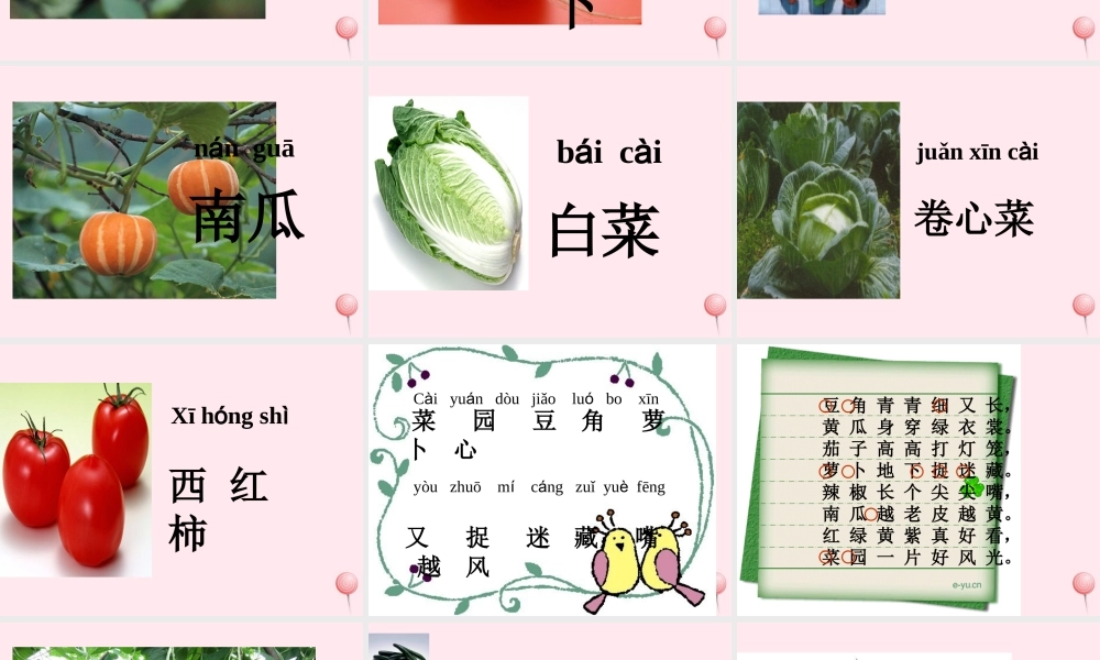 一年级语文上册 识字（二）第四单元 3《菜园里》课件 鲁教版-鲁教版小学一年级上册语文课件