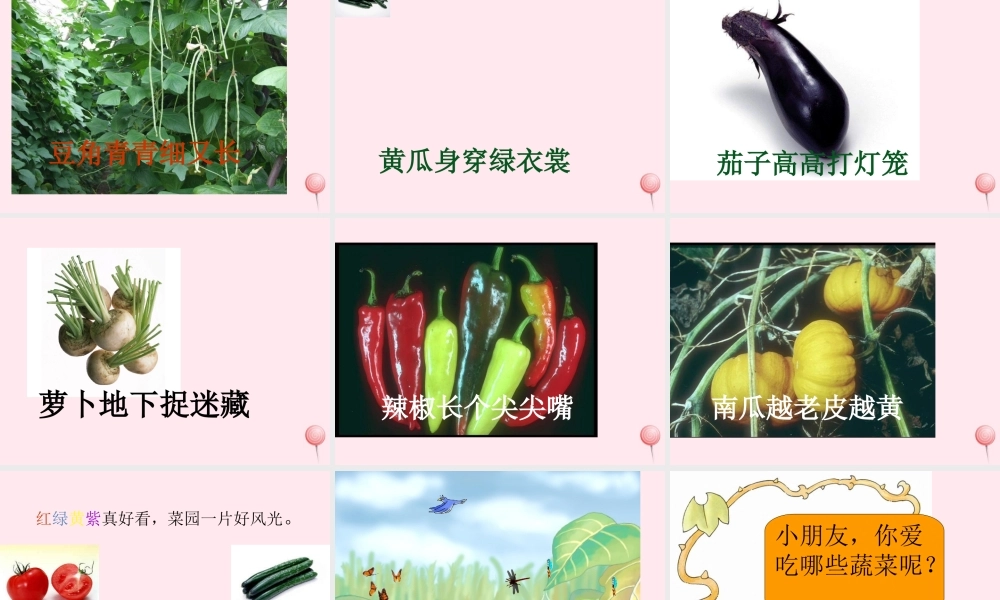 一年级语文上册 识字（二）第四单元 3《菜园里》课件 鲁教版-鲁教版小学一年级上册语文课件