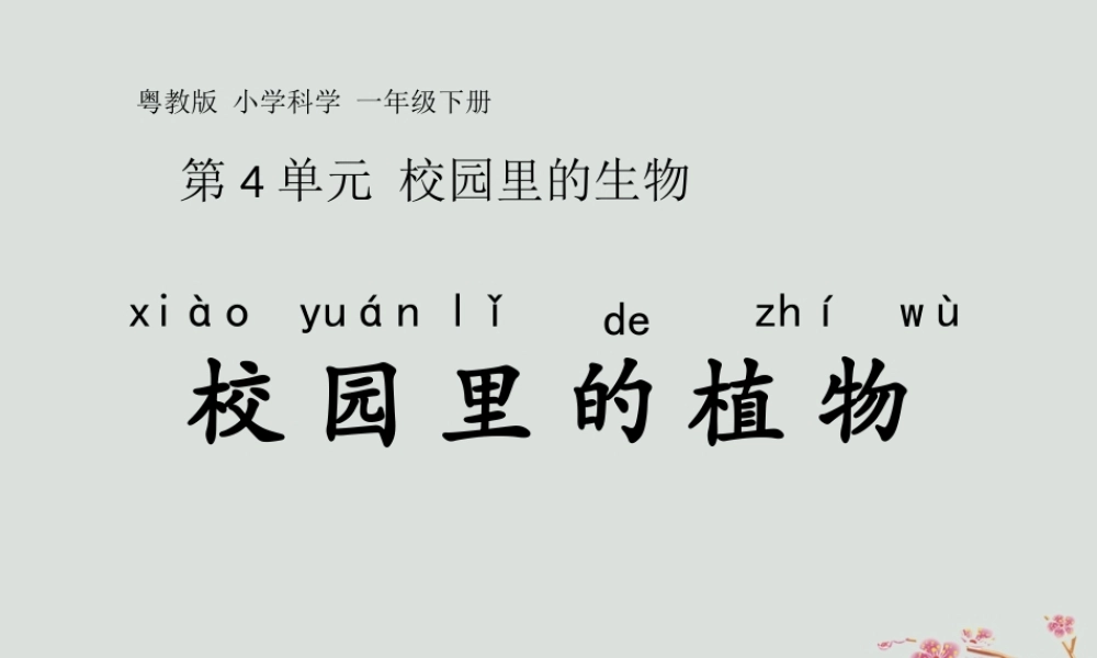 一年级科学下册 第4单元 校园里的生物 14 校园里的植物课件 （新版）粤教版-（新版）粤教版小学一年级下册自然科学课件