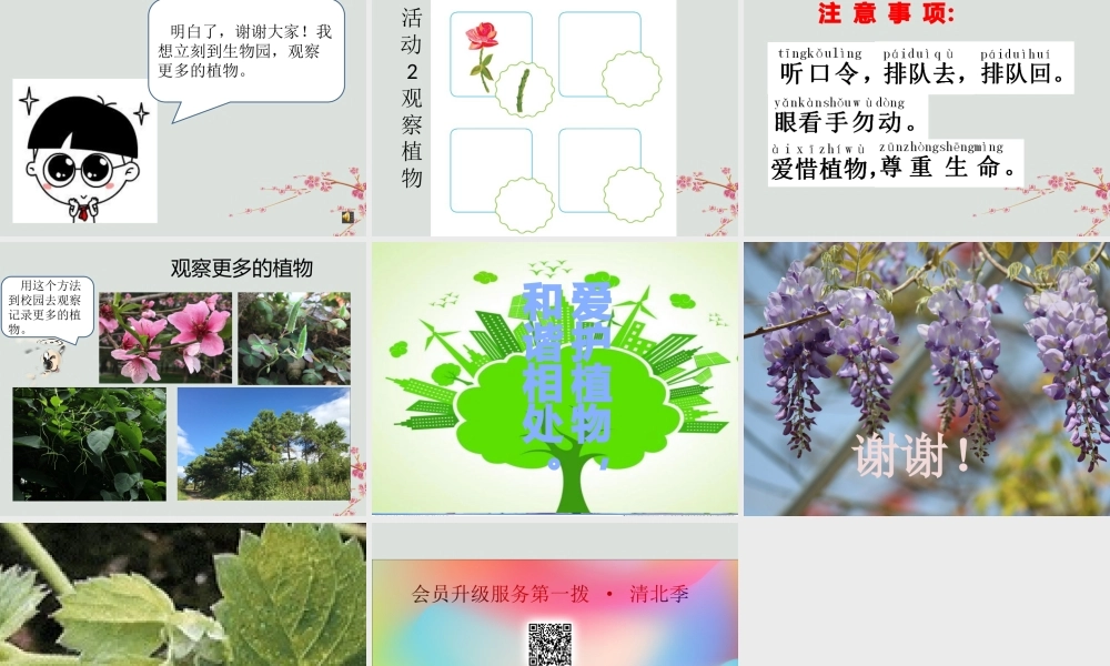 一年级科学下册 第4单元 校园里的生物 14 校园里的植物课件 （新版）粤教版-（新版）粤教版小学一年级下册自然科学课件