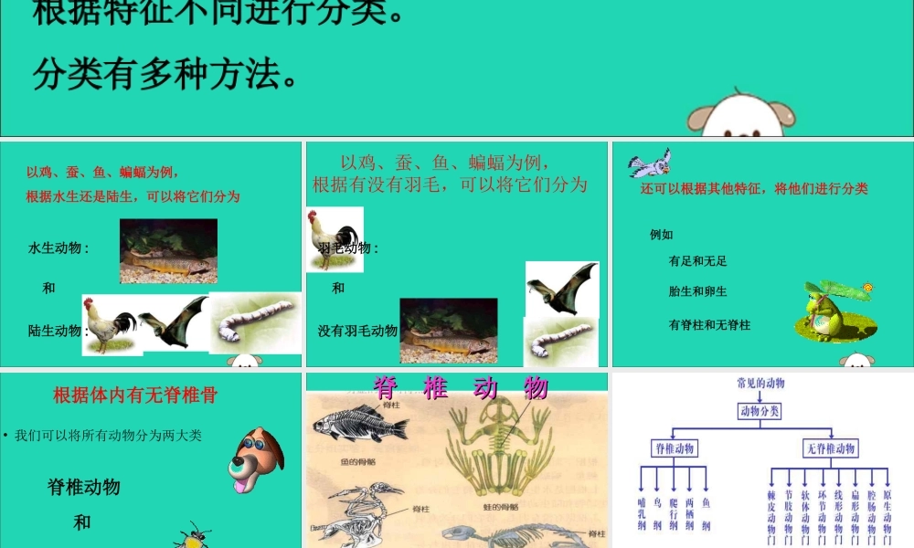 一年级科学下册 第10课《形形色色的动物》课件 苏教版-苏教版小学一年级下册自然科学课件