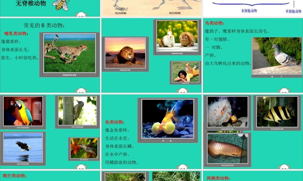一年级科学下册 第10课《形形色色的动物》课件 苏教版-苏教版小学一年级下册自然科学课件
