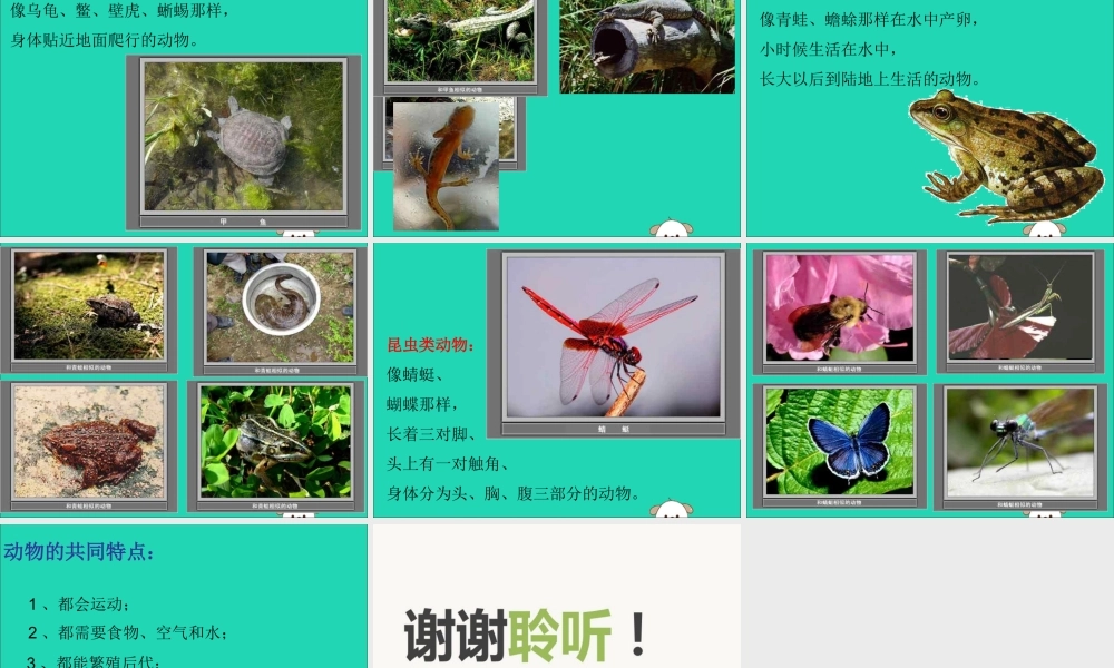 一年级科学下册 第10课《形形色色的动物》课件 苏教版-苏教版小学一年级下册自然科学课件