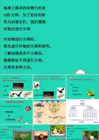 一年级科学下册 第10课《形形色色的动物》课件 苏教版-苏教版小学一年级下册自然科学课件