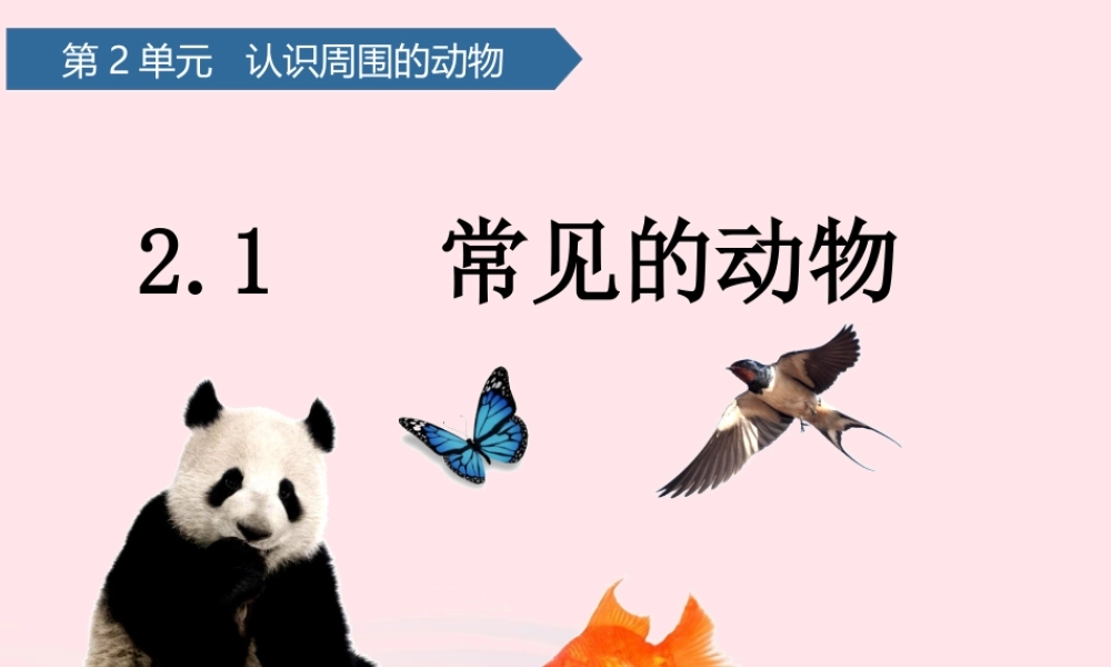 一年级科学下册 第二单元 认识周围的动物 4常见的小动物课件 青岛版六三制-青岛版小学一年级下册自然科学课件