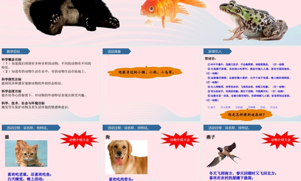 一年级科学下册 第二单元 认识周围的动物 4常见的小动物课件 青岛版六三制-青岛版小学一年级下册自然科学课件