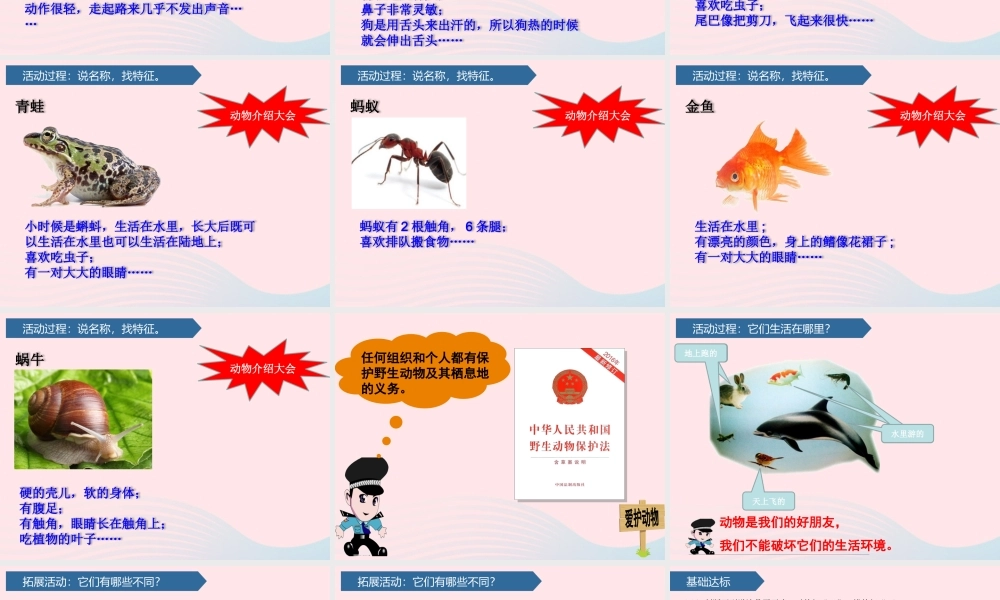 一年级科学下册 第二单元 认识周围的动物 4常见的小动物课件 青岛版六三制-青岛版小学一年级下册自然科学课件