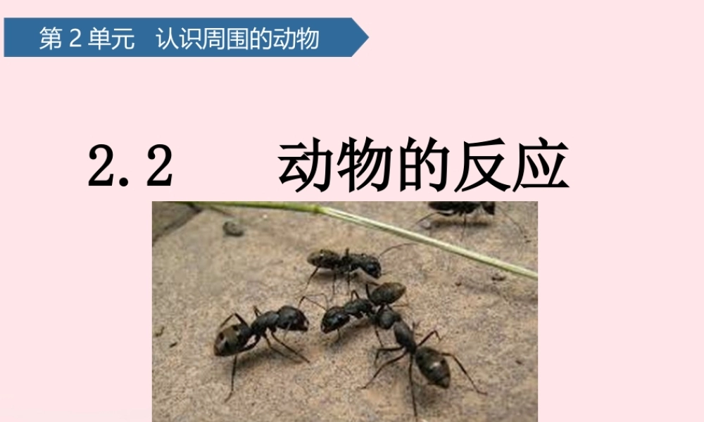 一年级科学下册 第二单元 认识周围的动物 5动物的反应课件 青岛版六三制-青岛版小学一年级下册自然科学课件