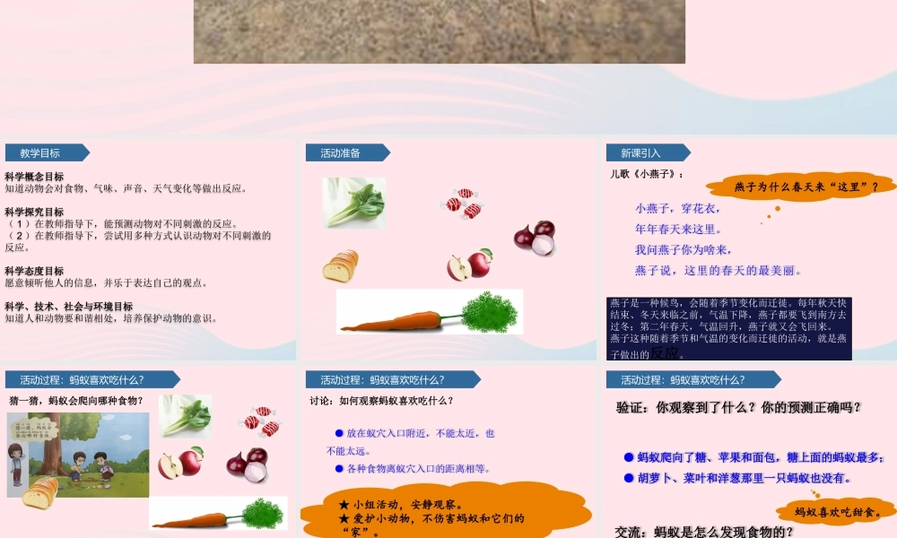 一年级科学下册 第二单元 认识周围的动物 5动物的反应课件 青岛版六三制-青岛版小学一年级下册自然科学课件