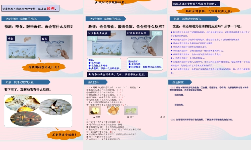 一年级科学下册 第二单元 认识周围的动物 5动物的反应课件 青岛版六三制-青岛版小学一年级下册自然科学课件