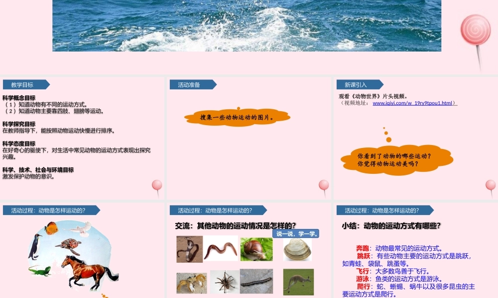一年级科学下册 第二单元 认识周围的动物 6动物的运动课件 青岛版六三制-青岛版小学一年级下册自然科学课件