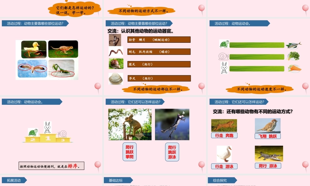 一年级科学下册 第二单元 认识周围的动物 6动物的运动课件 青岛版六三制-青岛版小学一年级下册自然科学课件