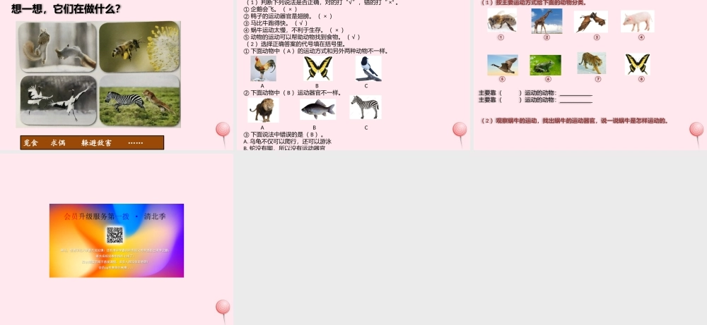 一年级科学下册 第二单元 认识周围的动物 6动物的运动课件 青岛版六三制-青岛版小学一年级下册自然科学课件