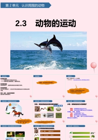一年级科学下册 第二单元 认识周围的动物 6动物的运动课件 青岛版六三制-青岛版小学一年级下册自然科学课件