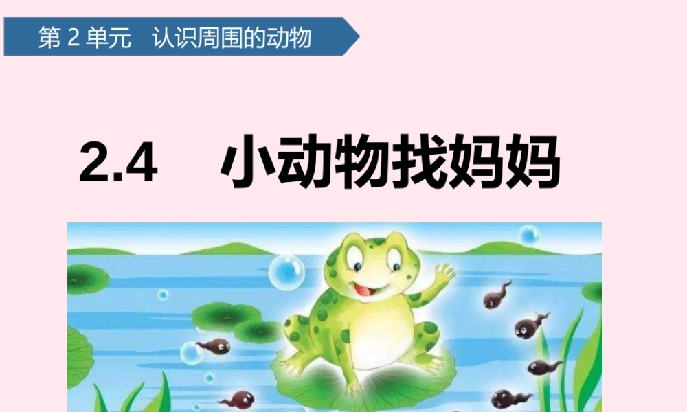 一年级科学下册 第二单元 认识周围的动物 7小动物找妈妈课件 青岛版六三制-青岛版小学一年级下册自然科学课件