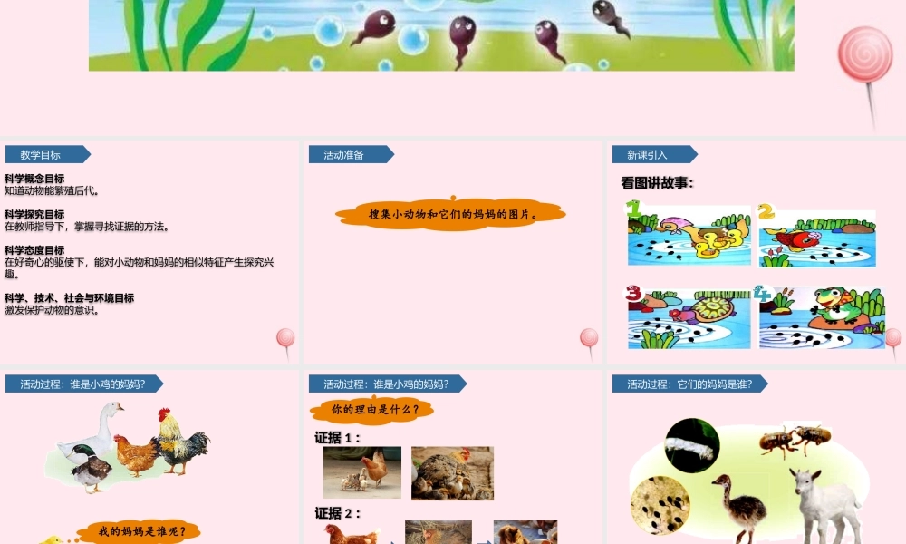 一年级科学下册 第二单元 认识周围的动物 7小动物找妈妈课件 青岛版六三制-青岛版小学一年级下册自然科学课件