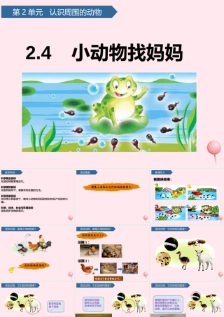 一年级科学下册 第二单元 认识周围的动物 7小动物找妈妈课件 青岛版六三制-青岛版小学一年级下册自然科学课件