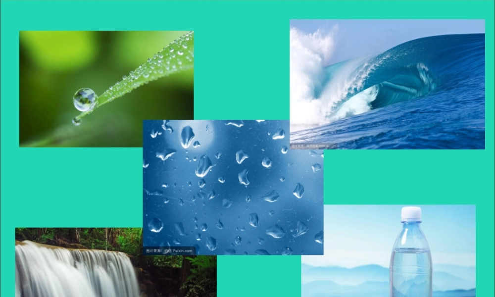 一年级科学下册 第二单元 水 第4课《水是什么样的》课件 苏教版-苏教版小学一年级下册自然科学课件