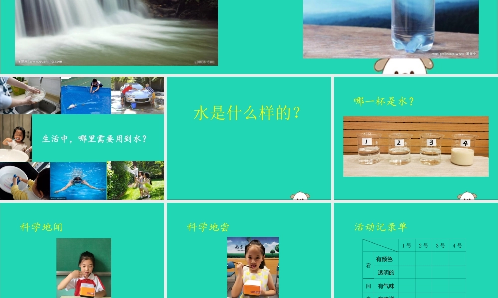 一年级科学下册 第二单元 水 第4课《水是什么样的》课件 苏教版-苏教版小学一年级下册自然科学课件