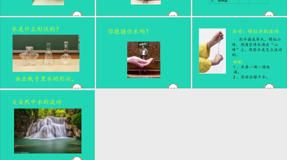 一年级科学下册 第二单元 水 第4课《水是什么样的》课件 苏教版-苏教版小学一年级下册自然科学课件