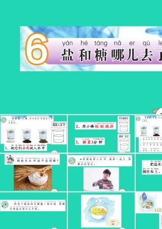 一年级科学下册 第二单元 水 第6课《盐和糖哪儿去了》课件 苏教版-苏教版小学一年级下册自然科学课件