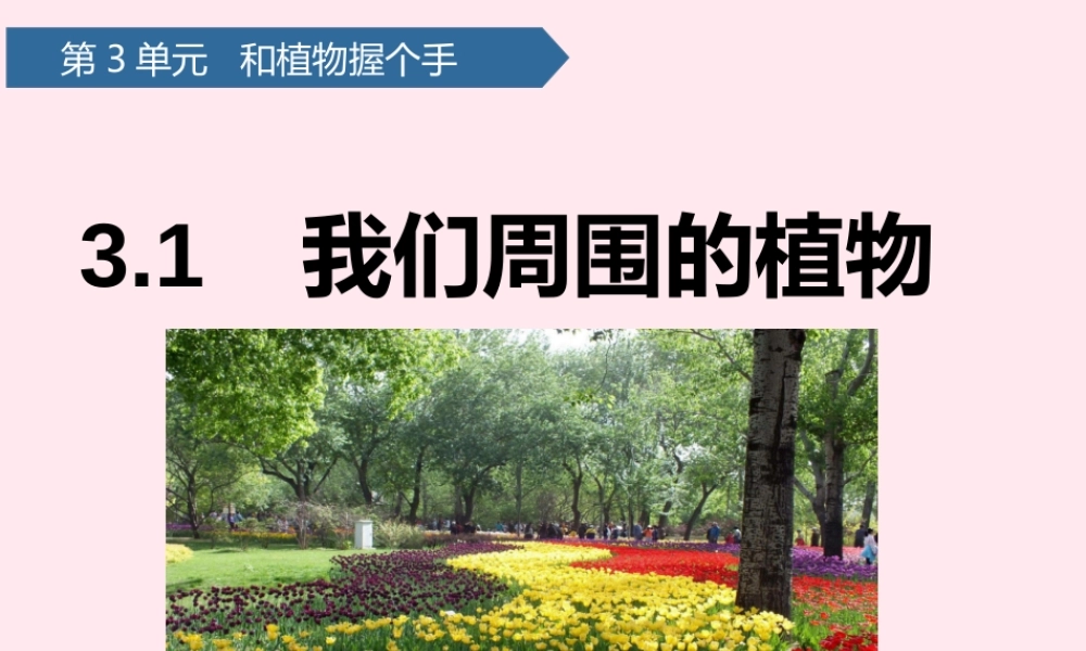 一年级科学下册 第三单元 和植物捏个手 8我们周围的植物课件 青岛版六三制-青岛版小学一年级下册自然科学课件