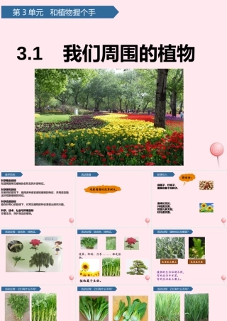 一年级科学下册 第三单元 和植物捏个手 8我们周围的植物课件 青岛版六三制-青岛版小学一年级下册自然科学课件