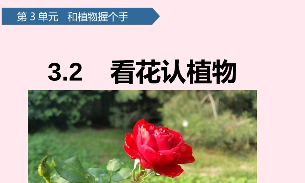 一年级科学下册 第三单元 和植物捏个手 9看花认植物课件 青岛版六三制-青岛版小学一年级下册自然科学课件